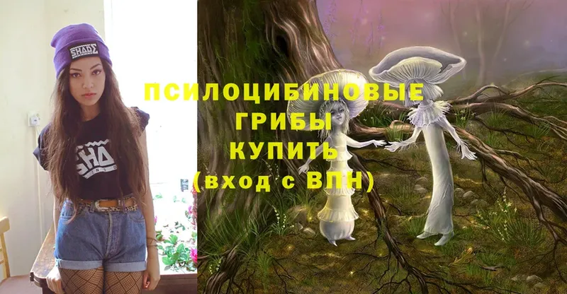 сколько стоит  Вельск  Псилоцибиновые грибы Magic Shrooms 